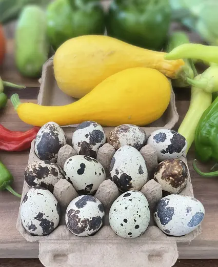 Quail Eggs from L and H Farm